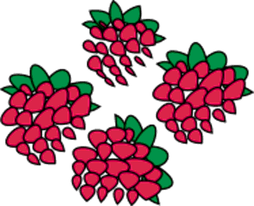 raspberries