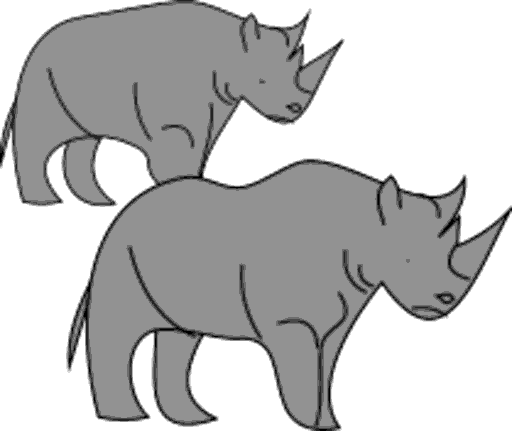 rhinos