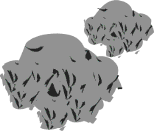 rocks