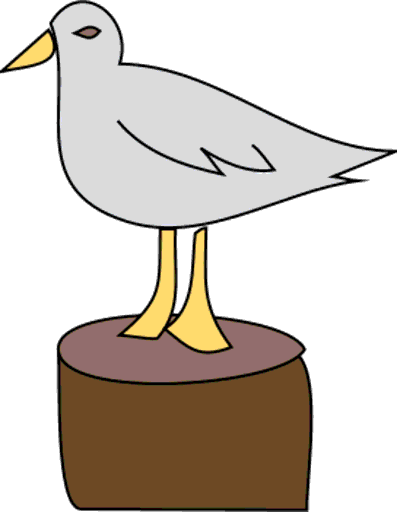 seagull