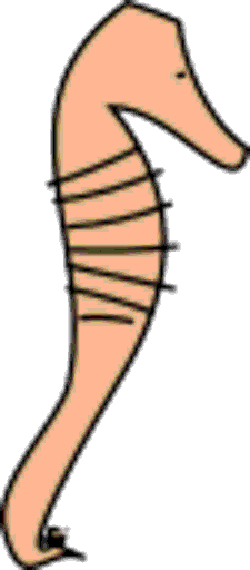 seahorse