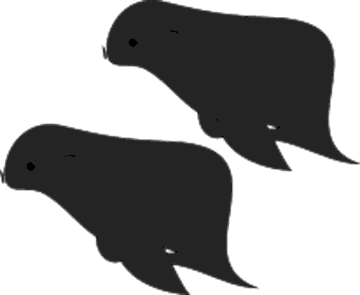 seals