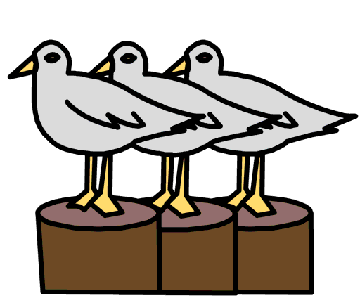 seagulls