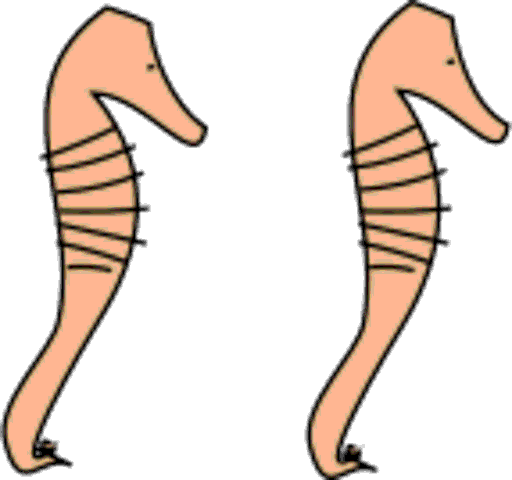 seahorses
