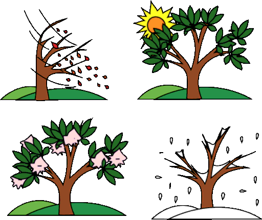 seasons