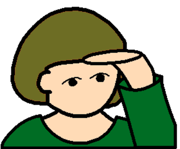 seeing