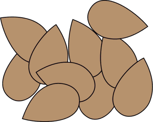 seeds