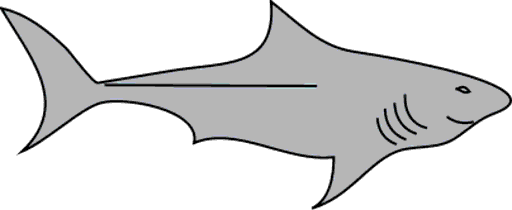 shark
