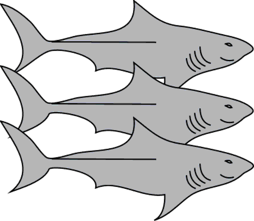 sharks