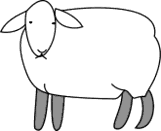 sheep
