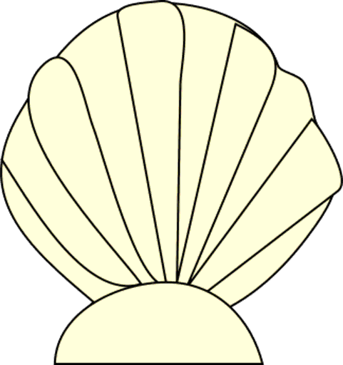 shell