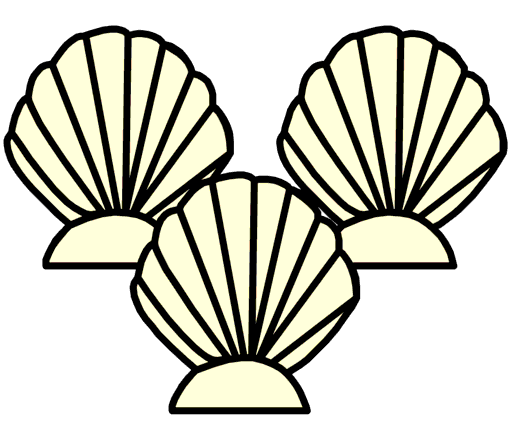 shells