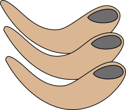 shofars