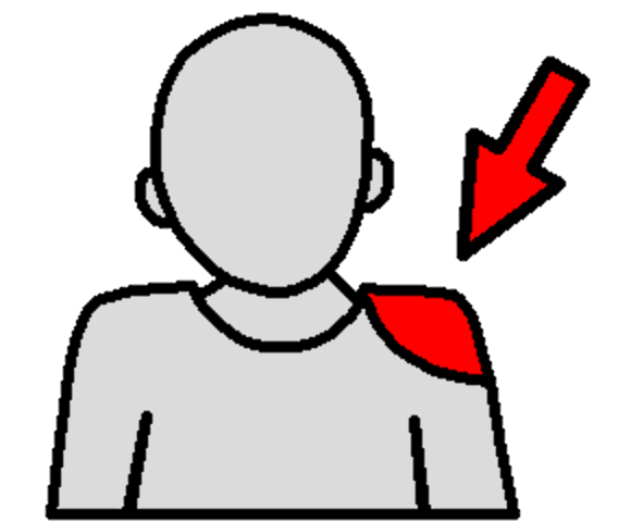 shoulder