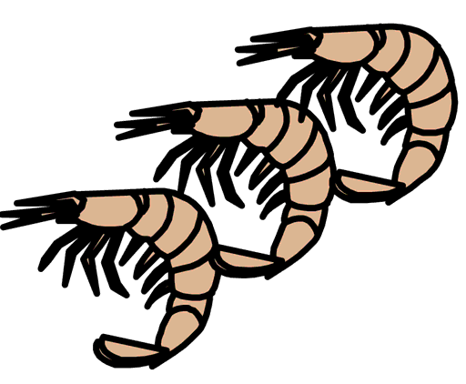 shrimps