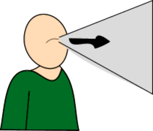sight