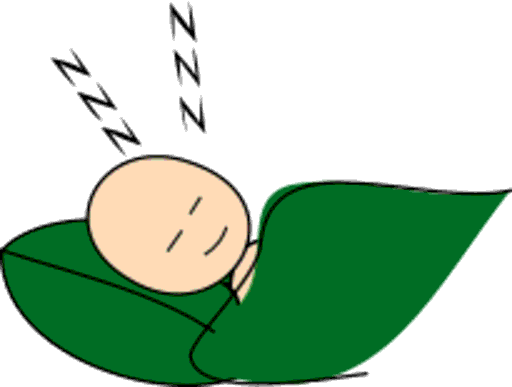 sleep