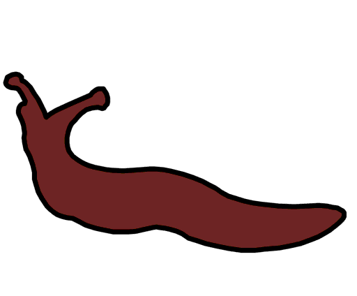 slug