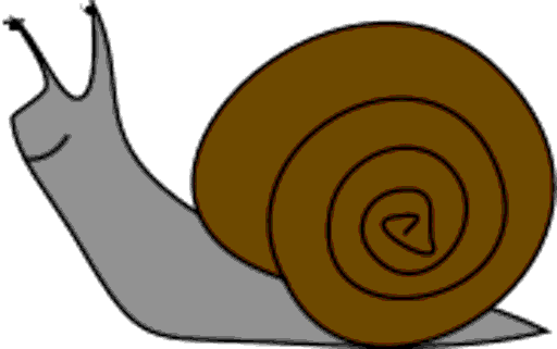 snail