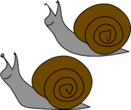 snails