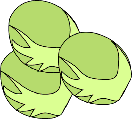 sprouts