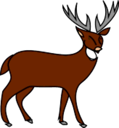 stag