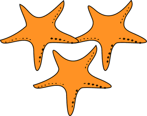 starfish