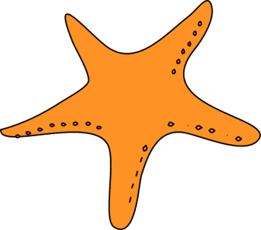 starfish