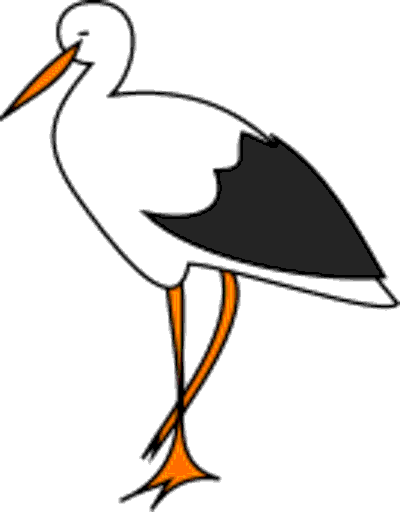 stork