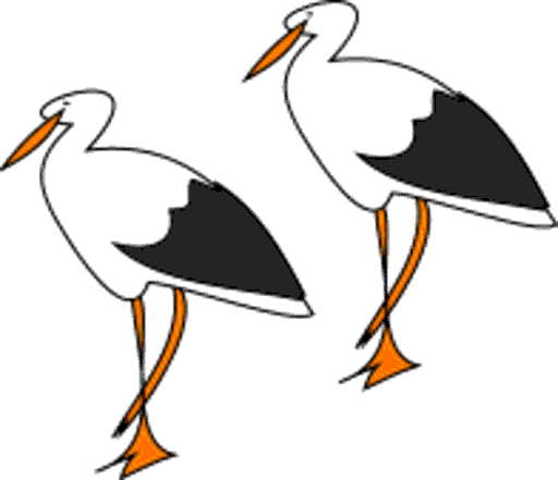 storks