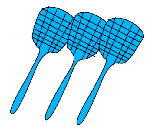 swatters