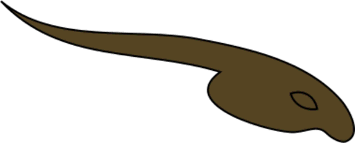 tadpole