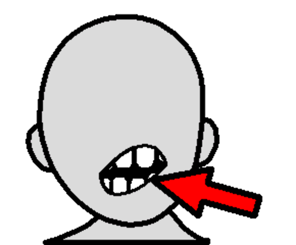 teeth