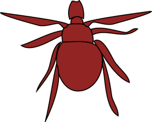 tick