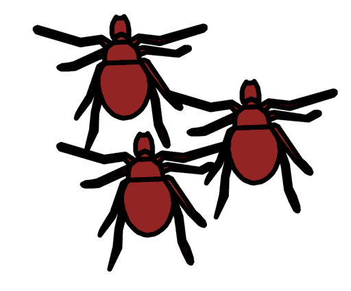 ticks