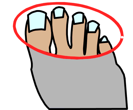 toes