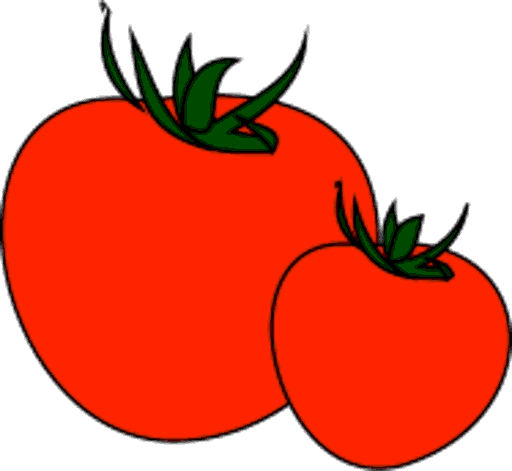 tomatoes