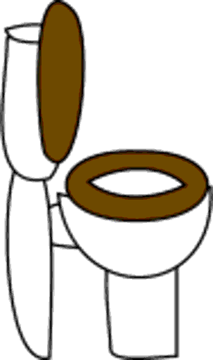 toilet