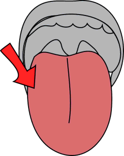 tongue