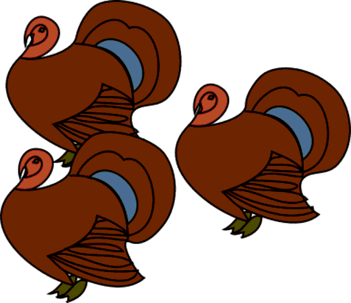 turkeys