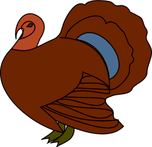 turkey