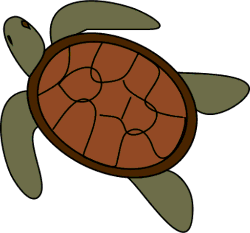 turtle