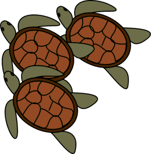 turtles