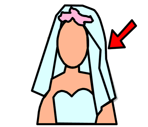veil