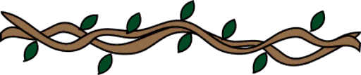 vine
