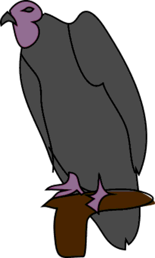 vulture