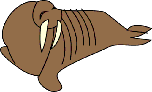walrus