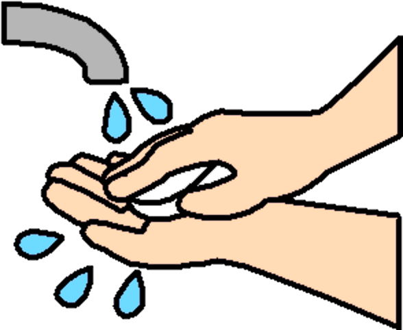 wash your hands