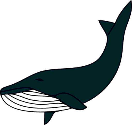 whale