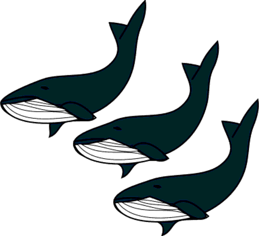 whales